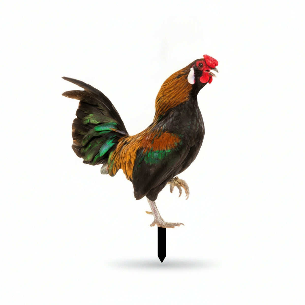 Garden Stake with Cockerel Acrylic Cockerel with Stake Chicken Yard Art Double-Sided Colorful for Gardeners, Lawn, Flower Bed
