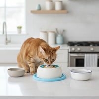 Textured Lick Bowl with Silicone Base Non-Slip Lick Bowl Stable Interactive for Dogs, Grooming