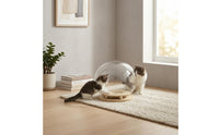 Acrylic Cat Dome Bed Built-in Balls Rotating Cat Bed Pet Furniture Round
