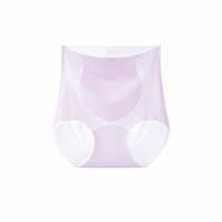 Women's High Waisted Knickers with Ice Silk Material for Summer, Breathable Triangle Briefs for Everyday Wear, Invisible Seamless Design, Super Thin