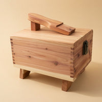 Shoe Care Box Hinged Shoe Care Kit Rectangular Kit for Closet