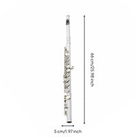 16 Hole Flute Beginner-Friendly C Flute in C Smooth Tone Wind Instrument for Adults, Performance, Educational Music Ensemble