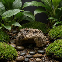 Hide Cave Resin Aquarium Cave Natural for Aquatic Creatures