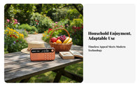 Audio Player Audio Device with Speaker Flash Card and Universal Serial Bus Compatible with Multi-Function Navytooth Radio Small Design Portable
