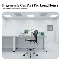 Anti-Static Laboratoryoratory Chair Cleanroom Compatible Wheeled High-Stool With