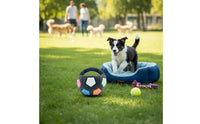 Built-in Squeaker Interactive Catapult Toy Bite Resistant Dog Toy Safe Materials Pet Supply for Outdoor