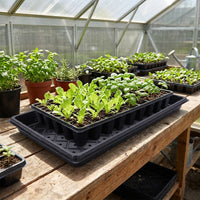 Seedling Tray and Plant Pots, Deep 50-Cell Potting Tray for Greenhouse, Seedling Pots for Germinating