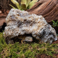 Aquarium Rocks and Aquarium Cave, Realistic Reptile Hide for Geckos and Snakes, Stable Reptile Hide Resin Rock Decor for Desert Terrariums