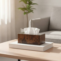 Tissue Box Cover with Stainless Surface Refills Rectangular Tissue Box Cover Modern Holder for Living Room, Bedroom