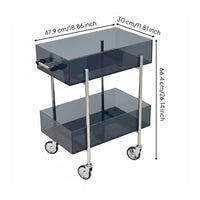 Clear Acrylic Easy-to-Move Cart to Move Rolling Storage Cart Space Saving Multi Tier Trolley for Living Room, Kitchen