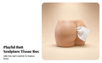 Organic Shape Decorative Tissue Box Holder Minimalist Sculptural Tissue Box Cover Home Accent