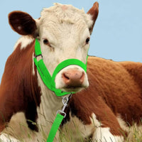Cow Halter leading Rope Set Heavy Duty Adjustable Cattle Halter Breakaway Design Nylon Cattle Headgear for Farmers, Veterinarians, Farm, Ranch