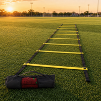 agility ladder