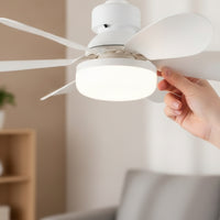 Screw-in Socket Fan Light Detachable Blades Ceiling Fan Light Wireless Controller Controlled 6-Blade for Bedroom, Dining Room
