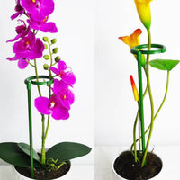 3 Pieces Plant Support Hoop Anti-Tip Flower Support Stake Easy to Install for Indoor Potted Plants, Garden, Greenhouse