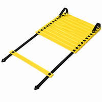 agility ladder set