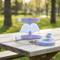 Cat Harness and Leash Set for Walking, Adjustable Strap Kitten Harness with Buckle, Non-Retractable Kitten Leash for Small to Medium Pets