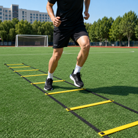 agility ladder