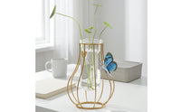 Water-Based Glass Vase Minimalist Design Wrought Iron Glass Planter Visible Underground Part Growth Tabletop Water-Based Vase for Beginners