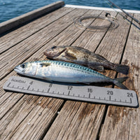 Easy to Install Catch Ruler with Adhesive Backing EVA Foam Catch Ruler Waterproof Large Numbers for Fishermen, Anglers, Boats, Kayaks