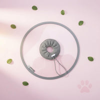 Elizabethan Collar Clear Vision Cat Recovery Cone Unobstructed View for Grooming