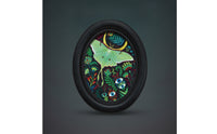 Oval Picture Ebony-Hued Oval Frame Decorative for Wall Hanging