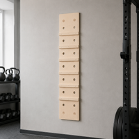 climbing wall panel