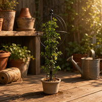 Spherical Trellis Easy to Assemble Globe Trellis Decorative Plant Support