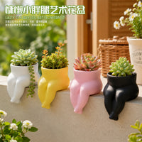 Lazy Chubby Legs Potted Cactus Succulent Plant for Living Room Balcony Office Desk