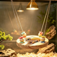 Natural Wood Lizard Platform with Chains Suspended Hanging Reptile Platform Comfortable Wooden Reptile Perch for Lizards, Reptiles, Terrarium, Habitat
