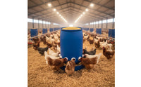 Automatic Weight-Based Feeder Nourishment Saving DIY Chicken Feeder Kit Farm Supply Weatherproof Weather-Resistant for Backyard