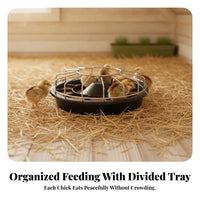 Raised Cone Round Poultry Feeder Bowl Thickened Plastic Metal Wire Poultry Feeder Low Profile Segmented Feed Tray 14 Openings