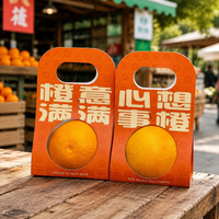 10 Small Brown Fruit Box Catering Boxes 350gsm Paperboard Fruit Packaging Box