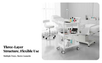 Rolling Cosmetic Cart Multi-Tier Storage 3-Tier Salon Trolley Spa Instrument Trolley Silent 360° Wheels Esthetician Rolling Cart