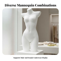 Realistic Proportions Lingerie Display Form Long-Lasting Underwear Mannequin Polished Finish Underwear Display Bust Lightweight for Visual Merchandisers, Fashion Designers, Window Displays, Retail Shop S, Boutiques, Trade Display S