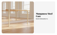 Double Dance Training Bar Stable Base Fixed Dance Practice Bar Heavy Duty Floor Mounted Dance Barre for Dancers, Beginners, School, Gym