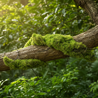 decorative vine