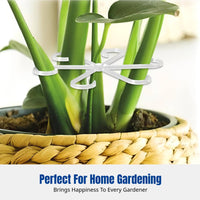 Transparent Stem Gathering Rack, Sturdy Rod Support, Versatile for Home & Commercial Gardening