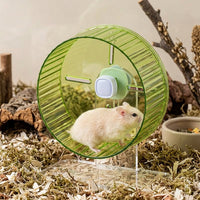Silent Hamster Wheel with Adjustable Stand, 17cm Transparent Gerbil Wheel, Sturdy Exercise Spinner with Ridged Surface for Small Animals