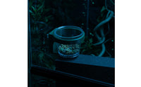 Strong Adhesive Food Cup Easy to Install Herpetological Bowl Stable Grip Herpetological Feeding Bowl Space Saving for Crested Gecko Owners, Terrarium