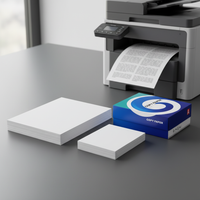 A4 Copy and Printer Paper, 70gsm/80gsm, Double-Sided, 500 Sheets, White