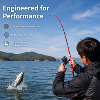 fishing rod