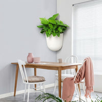 Plant Pots for a Hanging Plant and Wall Planter, Self Watering Corner Wall Mount Indoor Planter, Quarter Circle Wall Hanging Garden Pot Basket