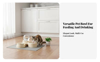 No Electricity Required Automatic Pet Waterer and Feeder Large Capacity Weight-Based Food and Water Bowl Set Easy to Clean for Cat Owners