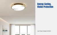LED Ceiling Light, Modern Iron Art, Three-Color Dimming, Energy Saving, for Bedroom, Living Room, Dining Area