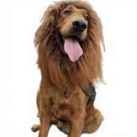 Pet Lion Mane Wig, Funny Dog Costume, Halloween Accessory