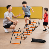 agility ladder