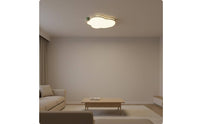 Soft Warm Look Cream Ceiling Light Minimalist Design Eye Protection Ceiling Light for Living Room