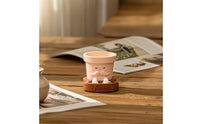 Planter Cute Planter with Stand Cartoon Bottom-Watering Plant Pot for Desk, Office, Windowsill