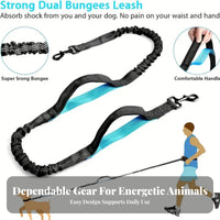 Zipper Closure Handsunrestricted Dog Leash Elastic Reflective Waist Bag Leash Snap-on Pet Accessory for Joggers, Jogging